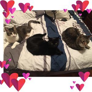 Meet your Posher, Mary